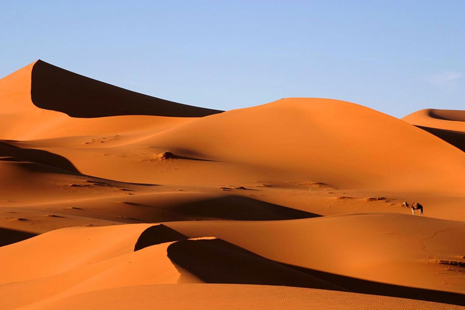 Desert Chegaga Luxury Camp El Gouera Bagian luar foto