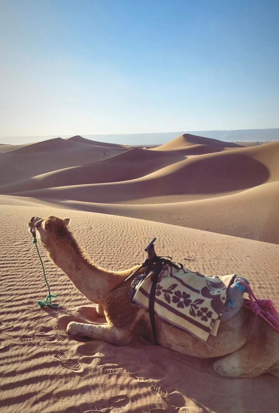Desert Chegaga Luxury Camp El Gouera Bagian luar foto